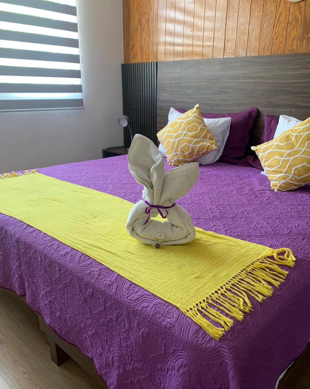 Pino Apartment Oaxaca Екстер'єр фото